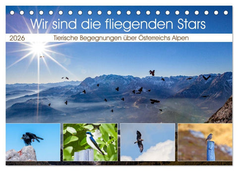 Wir sind die fliegenden Stars (Tischkalender 2026 DIN A5 quer), CALVENDO Monatskalender