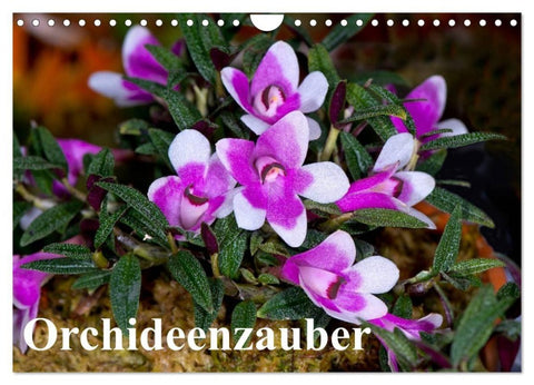 Orchideenzauber (Wandkalender 2027 DIN A4 quer), CALVENDO Monatskalender