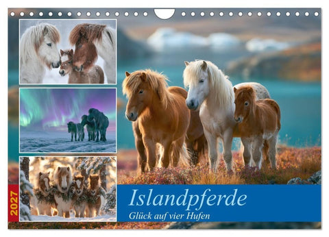 Islandpferde (Wandkalender 2027 DIN A4 quer), CALVENDO Monatskalender