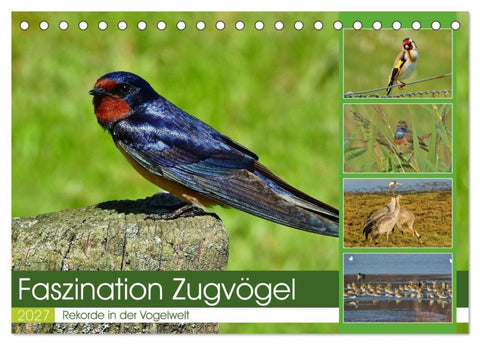 Faszination Zugvögel - Rekorde in der Vogelwelt (Tischkalender 2027 DIN A5 quer), CALVENDO Monatskalender