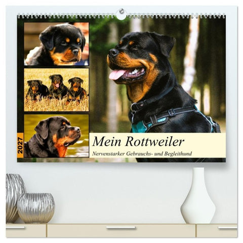Mein Rottweiler. Nervenstarker Gebrauchs- und Begleithund (hochwertiger Premium Wandkalender 2027 DIN A2 quer), Kunstdruck in Hochglanz