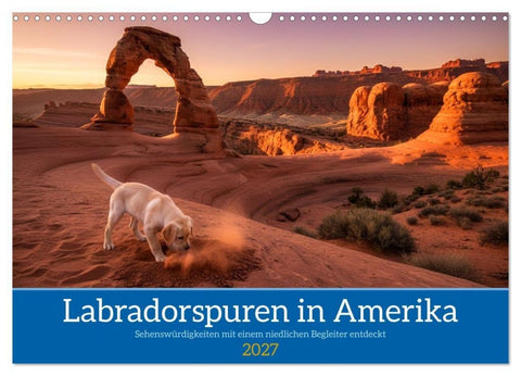 Labradorspuren in Amerika (Wandkalender 2027 DIN A3 quer), CALVENDO Monatskalender