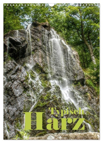 Typisch Harz (Wandkalender 2027 DIN A3 hoch), CALVENDO Monatskalender