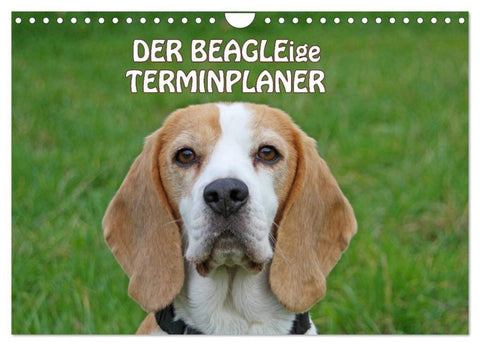 DER BEAGLEige TERMINPLANER (Wandkalender 2027 DIN A4 quer), CALVENDO Monatskalender