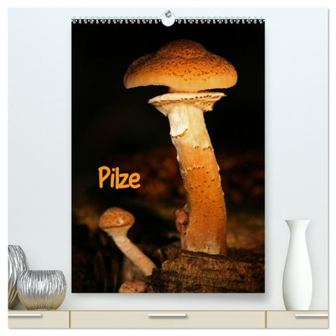 Pilze (hochwertiger Premium Wandkalender 2026 DIN A2 hoch), Kunstdruck in Hochglanz