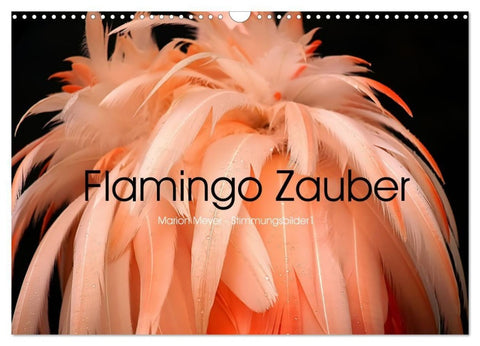 Flamingo Zauber (Wandkalender 2027 DIN A3 quer), CALVENDO Monatskalender