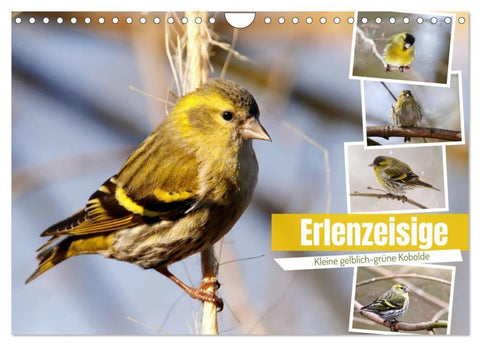 Erlenzeisige (Wandkalender 2027 DIN A4 quer), CALVENDO Monatskalender