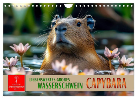 Capybara - liebenswertes großes Wasserschwein (Wandkalender 2027 DIN A4 quer), CALVENDO Monatskalender