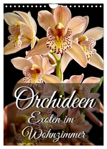 Orchideen - Exoten im Wohnzimmer (Wandkalender 2027 DIN A4 hoch), CALVENDO Monatskalender