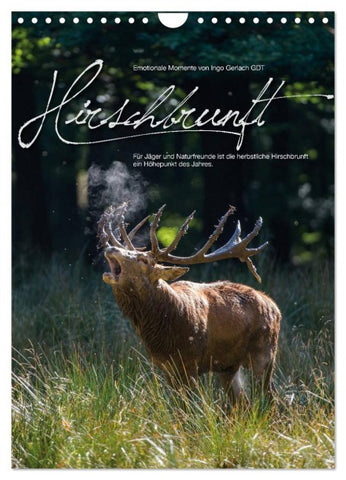 Emotionale Momente: Hirschbrunft (Wandkalender 2026 DIN A4 hoch), CALVENDO Monatskalender