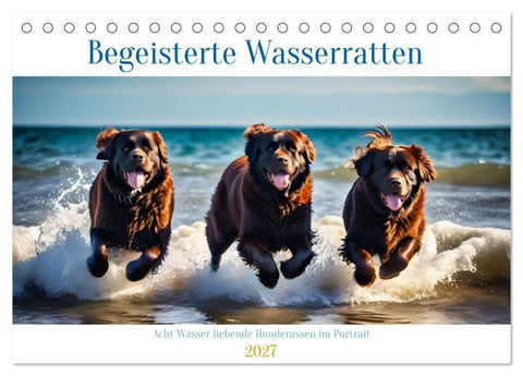 Begeisterte Wasserratten (Tischkalender 2027 DIN A5 quer), CALVENDO Monatskalender