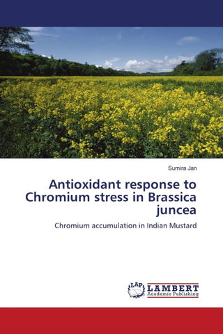 Antioxidant response to Chromium stress in Brassica juncea