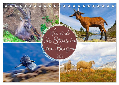Wir sind die Stars in den Bergen (Tischkalender 2026 DIN A5 quer), CALVENDO Monatskalender