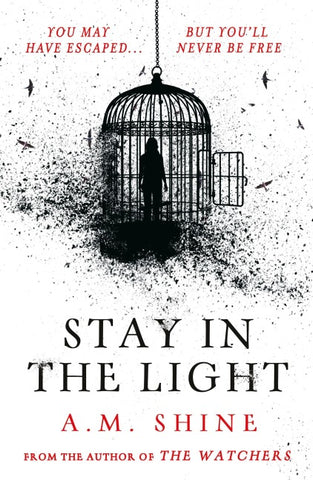 Stay in the Light