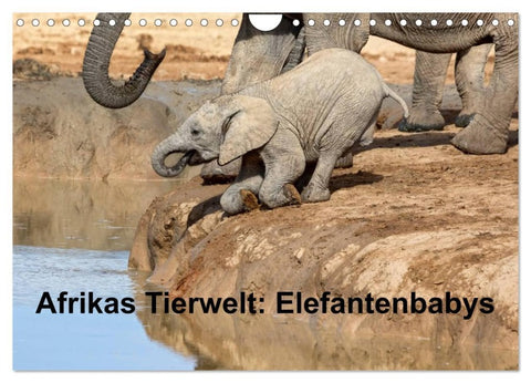 Afrikas Tierwelt: Elefantenbabys (Wandkalender 2026 DIN A4 quer), CALVENDO Monatskalender
