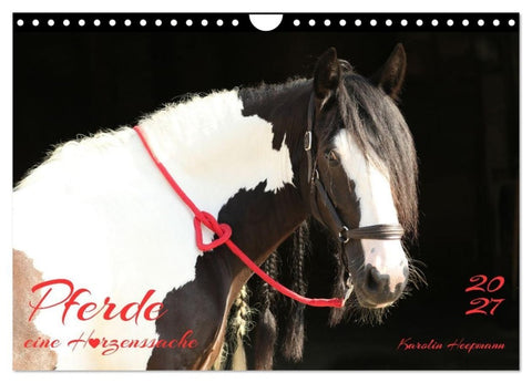 Pferde - eine Herzenssache (Wandkalender 2027 DIN A4 quer), CALVENDO Monatskalender