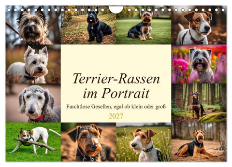 Terrier-Rassen im Portrait (Wandkalender 2027 DIN A4 quer), CALVENDO Monatskalender