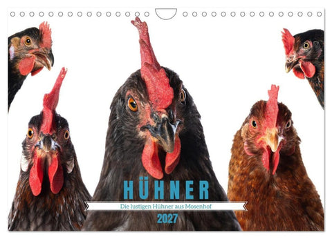 Die lustigen Hühner aus Mosenhof (Wandkalender 2027 DIN A4 quer), CALVENDO Monatskalender