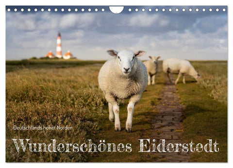Wunderschönes Eiderstedt (Wandkalender 2026 DIN A4 quer), CALVENDO Monatskalender