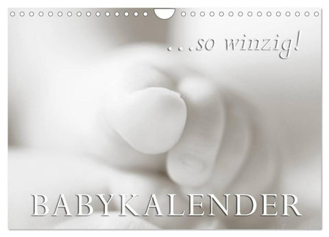 ...so winzig - Babykalender (Wandkalender 2026 DIN A4 quer), CALVENDO Monatskalender