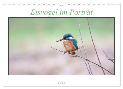 Eisvogel im Porträt (Wandkalender 2027 DIN A3 quer), CALVENDO Monatskalender