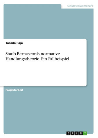 Staub-Bernasconis normative Handlungstheorie. Ein Fallbeispiel