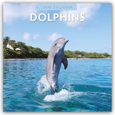 Dolphins – Delfine 2027 – 16-Monatskalender