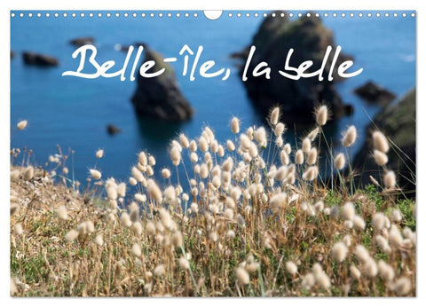 Belle-Île, la belle (Calendrier mural 2026 DIN A3 vertical), CALVENDO calendrier mensuel