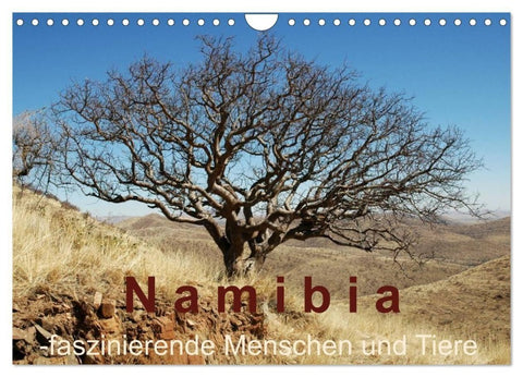 Namibia - faszinierende Menschen und Tiere (Wandkalender 2027 DIN A4 quer), CALVENDO Monatskalender