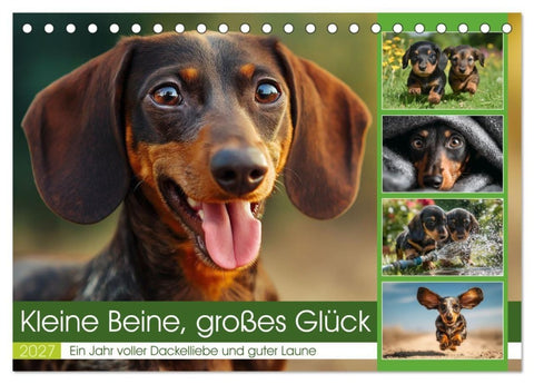 Kleine Beine, großes Glück (Tischkalender 2027 DIN A5 quer), CALVENDO Monatskalender