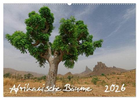 Afrikanische Bäume (Wandkalender 2026 DIN A2 quer), CALVENDO Monatskalender