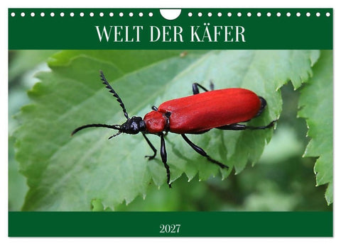 WELT DER KÄFER (Wandkalender 2027 DIN A4 quer), CALVENDO Monatskalender