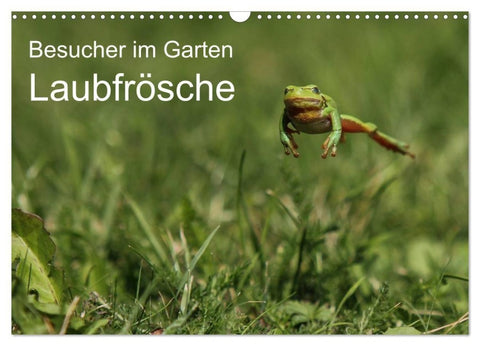 Besucher im Garten - Laubfrösche (Wandkalender 2027 DIN A3 quer), CALVENDO Monatskalender