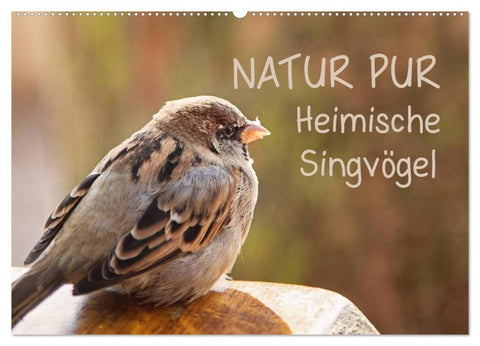 NATUR PUR Heimische Singvögel (Wandkalender 2026 DIN A2 quer), CALVENDO Monatskalender