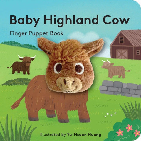 Baby Highland Cow