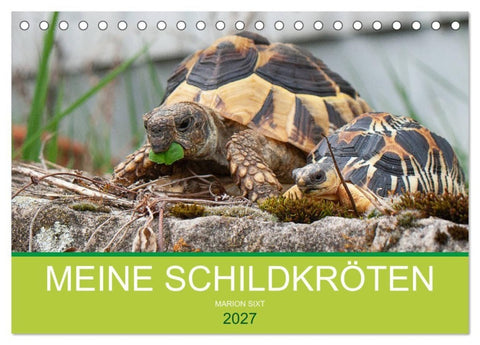 Meine Schildkröten (Tischkalender 2027 DIN A5 quer), CALVENDO Monatskalender