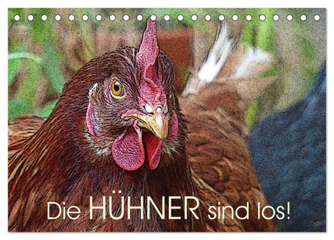 Die Hühner sind los! (Tischkalender 2027 DIN A5 quer), CALVENDO Monatskalender