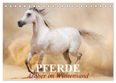 Pferde ¿ Araber im Wüstensand (Tischkalender 2027 DIN A5 quer), CALVENDO Monatskalender