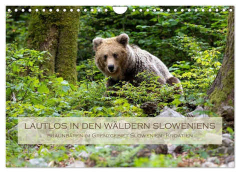 Lautlos in den Wäldern Sloweniens (Wandkalender 2027 DIN A4 quer), CALVENDO Monatskalender