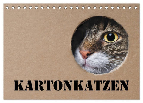 Karton Katzen (Tischkalender 2027 DIN A5 quer), CALVENDO Monatskalender