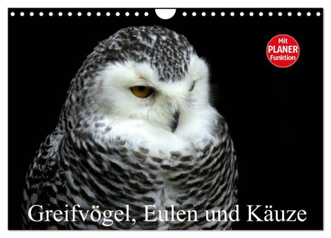 Greifvögel, Eulen und Käuze (Wandkalender 2027 DIN A4 quer), CALVENDO Monatskalender