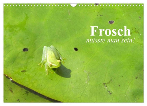Frosch müsste man sein! (Wandkalender 2027 DIN A3 quer), CALVENDO Monatskalender