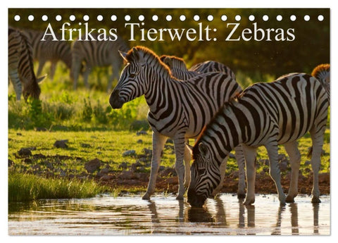 Afrikas Tierwelt: Zebras (Tischkalender 2026 DIN A5 quer), CALVENDO Monatskalender