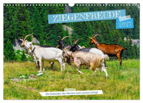 Ziegenfreude (Wandkalender 2027 DIN A3 quer), CALVENDO Monatskalender