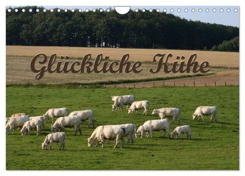Glückliche Kühe (Wandkalender 2027 DIN A4 quer), CALVENDO Monatskalender