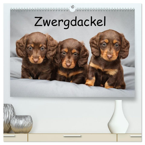 Zwergdackel von Kadi (hochwertiger Premium Wandkalender 2027 DIN A2 quer), Kunstdruck in Hochglanz