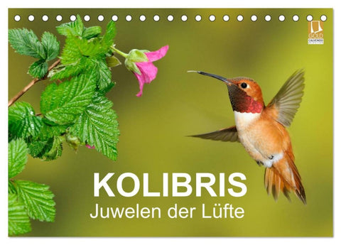 Kolibris - Juwelen der Lüfte (Tischkalender 2026 DIN A5 quer), CALVENDO Monatskalender