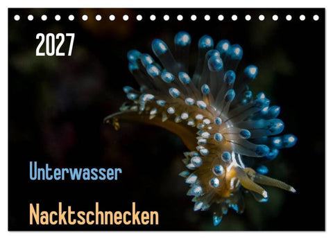 Unterwasser - Nacktschnecken 2027 (Tischkalender 2027 DIN A5 quer), CALVENDO Monatskalender