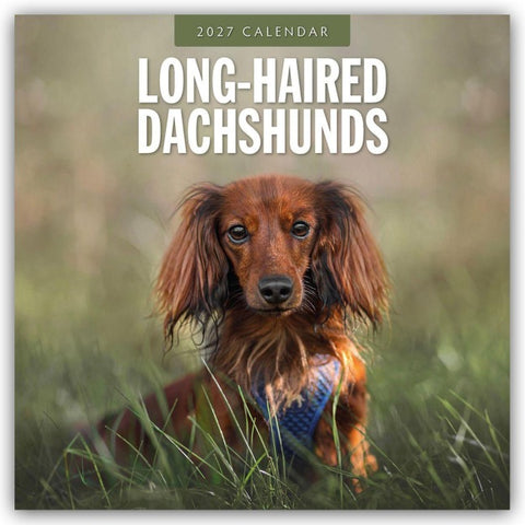 Long-Haired Dachshunds – Langhaardackel 2027 – 16-Monatskalender
