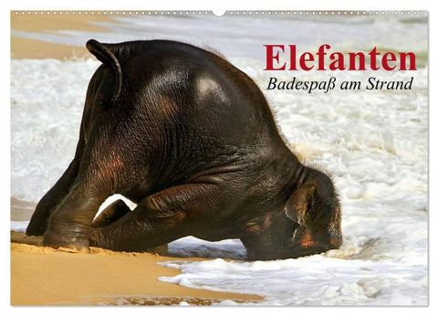 Elefanten. Badespaß am Strand (Wandkalender 2027 DIN A2 quer), CALVENDO Monatskalender